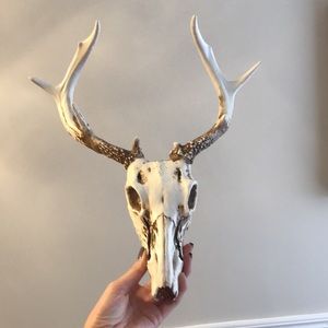 Animal Skull Decor 🦌